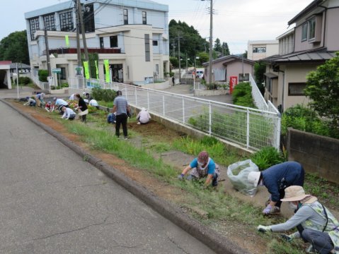 8月20日 除草作業をしました